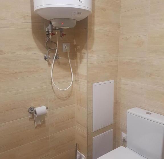 キングサイドベッドのスタンダードワンルーム, Dom Malowany