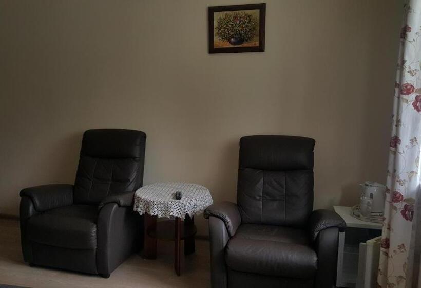 スタンダードルーム, Dom Malowany