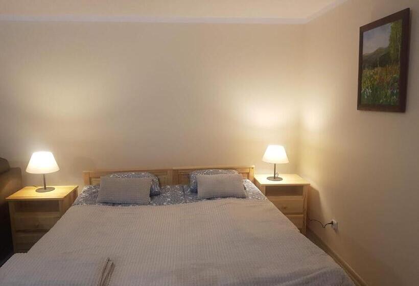 キングサイドベッドのスタンダードワンルーム, Dom Malowany