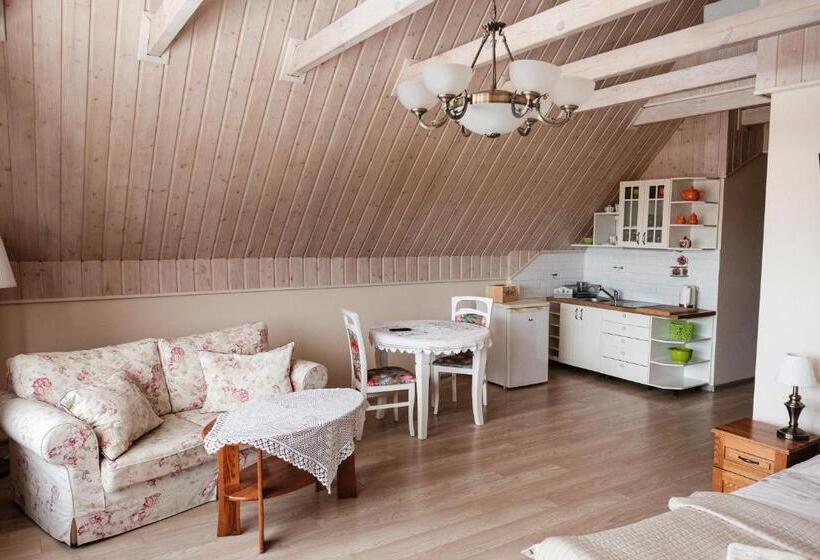 景色の見える一ベッドルームアパートメント, Dom Malowany