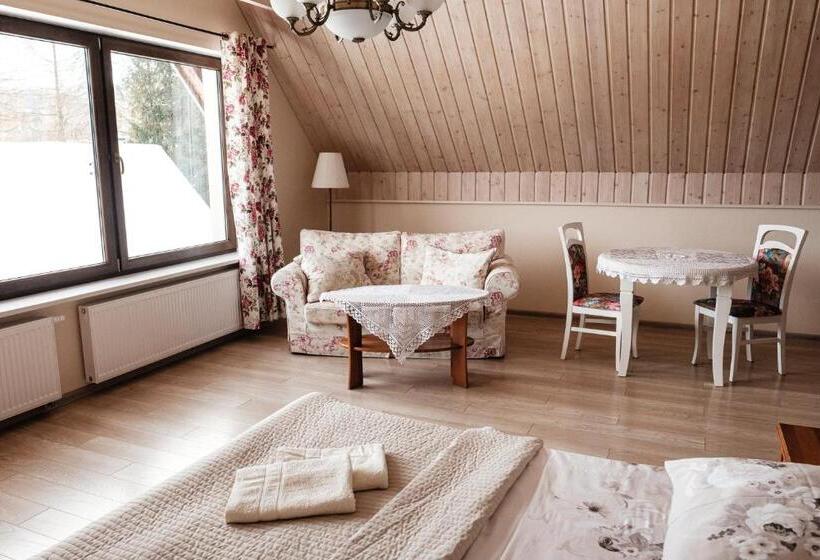 景色の見える一ベッドルームアパートメント, Dom Malowany