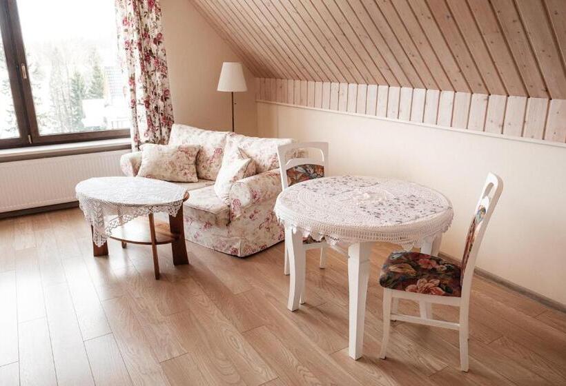 景色の見える一ベッドルームアパートメント, Dom Malowany