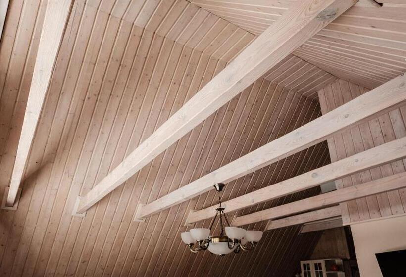 景色の見える一ベッドルームアパートメント, Dom Malowany