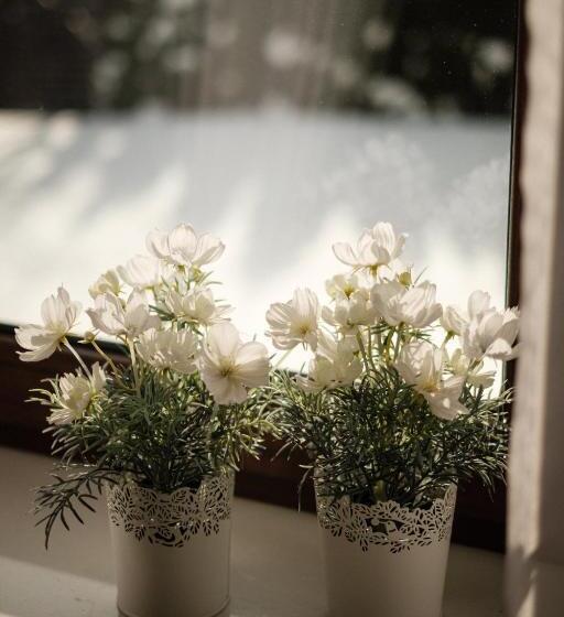 スタンダードルーム, Dom Malowany