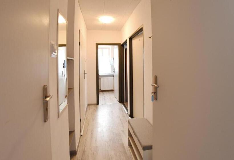 סטודיו סופריור, Marinas Rewa