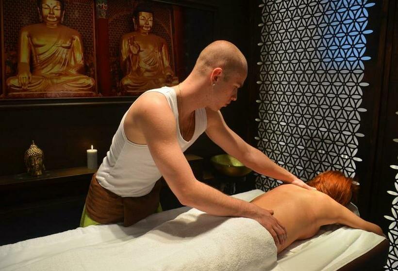 חדר ביזנס, Białowieski Conference, Wellness & Spa