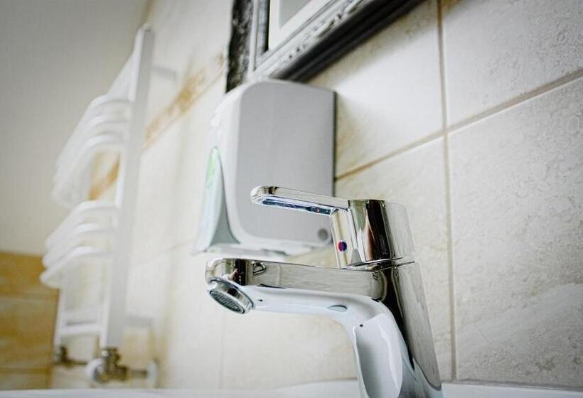 غرفة قياسية فردية, Magnat