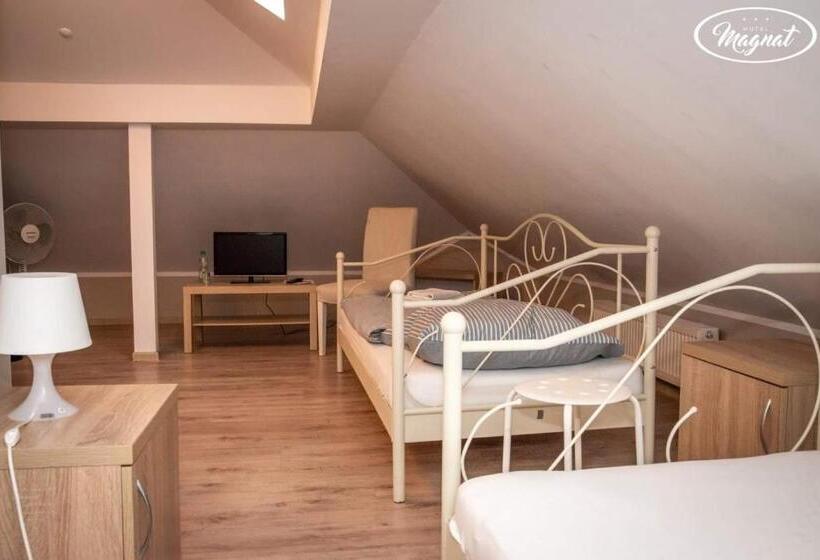 חדר סטנדרט יחיד, Magnat