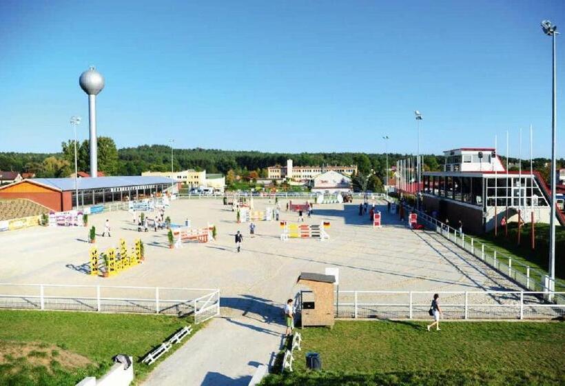 اتاق استاندارد, Wosir Drzonków