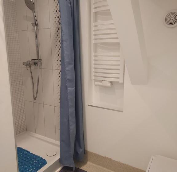 اتاق استاندارد, Wosir Drzonków