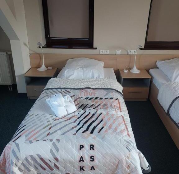 اتاق استاندارد, Wosir Drzonków