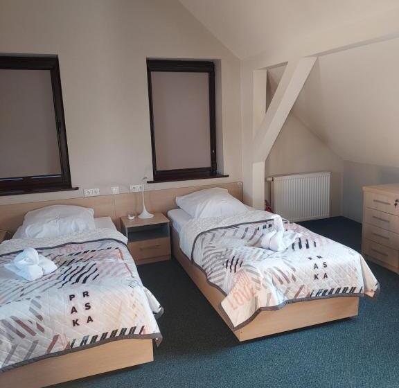 اتاق استاندارد, Wosir Drzonków