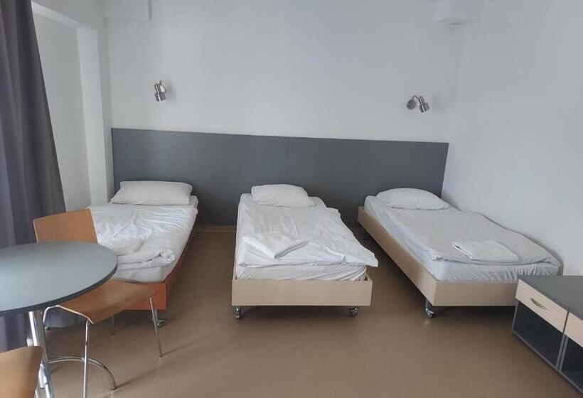 Номер Стандарт Трехместный, Wosir Drzonków