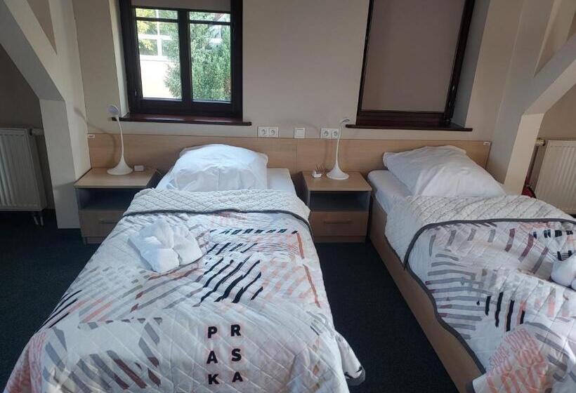 اتاق استاندارد, Wosir Drzonków