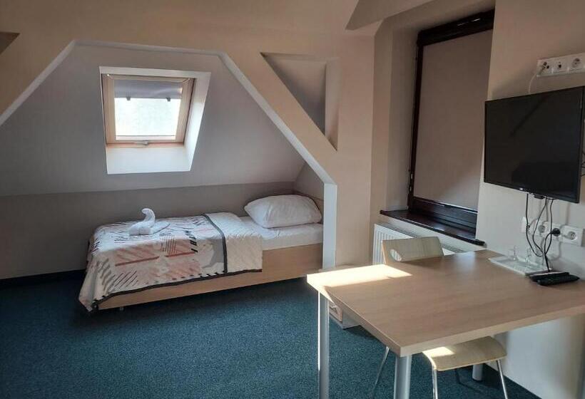 اتاق استاندارد, Wosir Drzonków