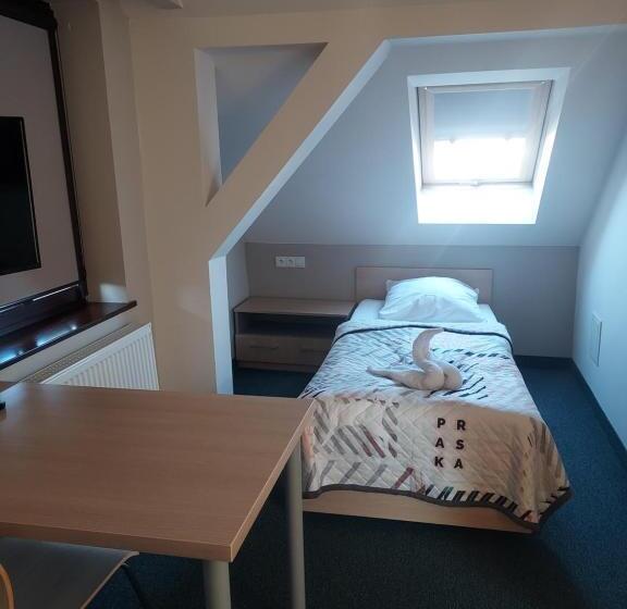 اتاق استاندارد, Wosir Drzonków