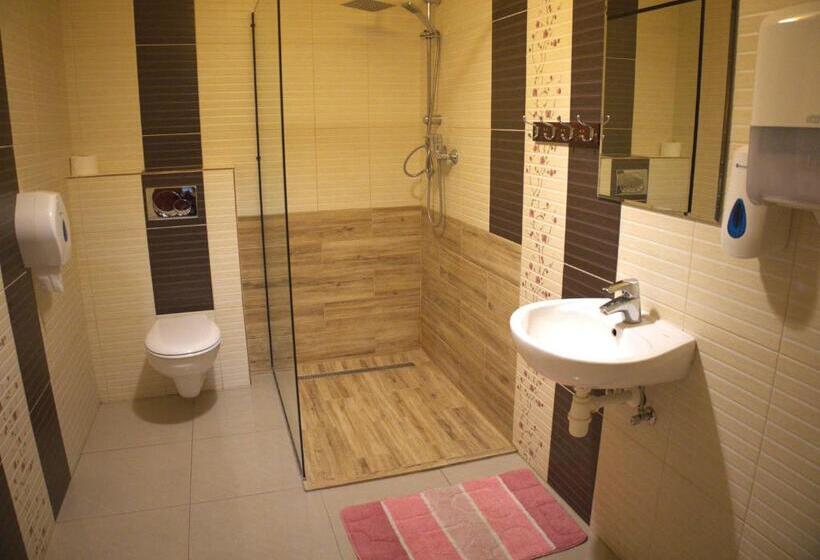 غرفة قياسية حمام مشترك, Zakarczmie Stokrotka