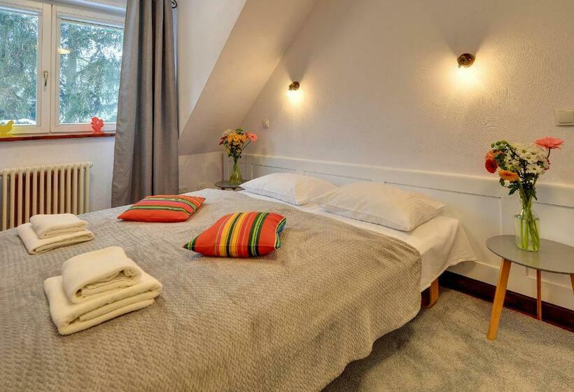 基本间, Pensjonat Willa W Parku