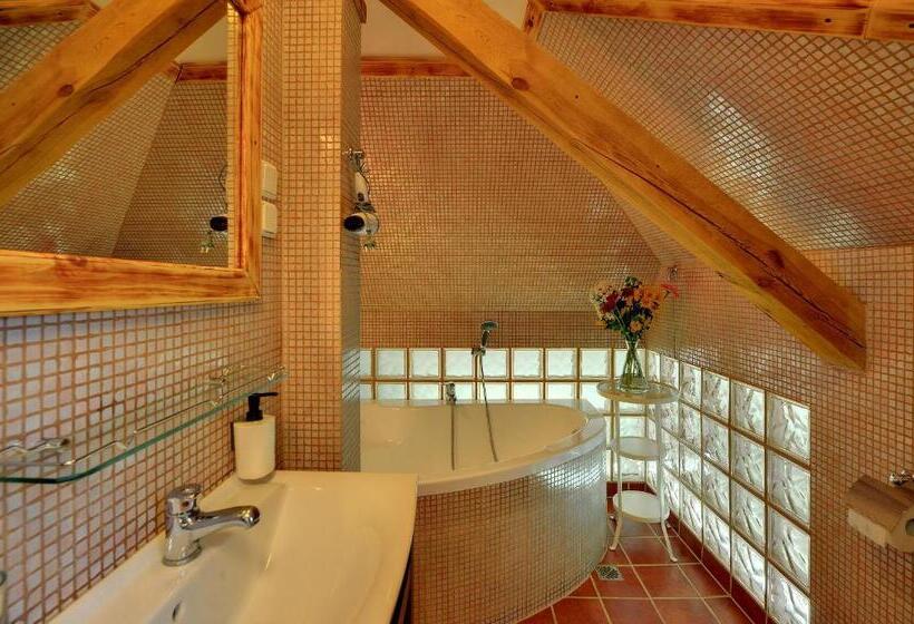 标准间, Pensjonat Willa W Parku