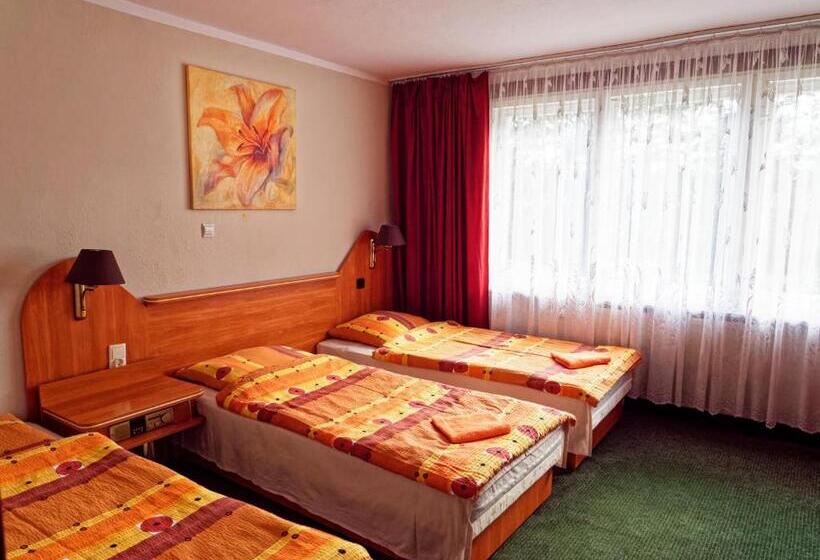 חדר סטנדרט לשלושה, Stanica Wodna Spychowo