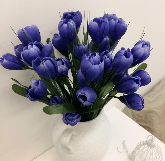 غرفة قياسية مطلّة علي الحديقة, Master Corner Apartment