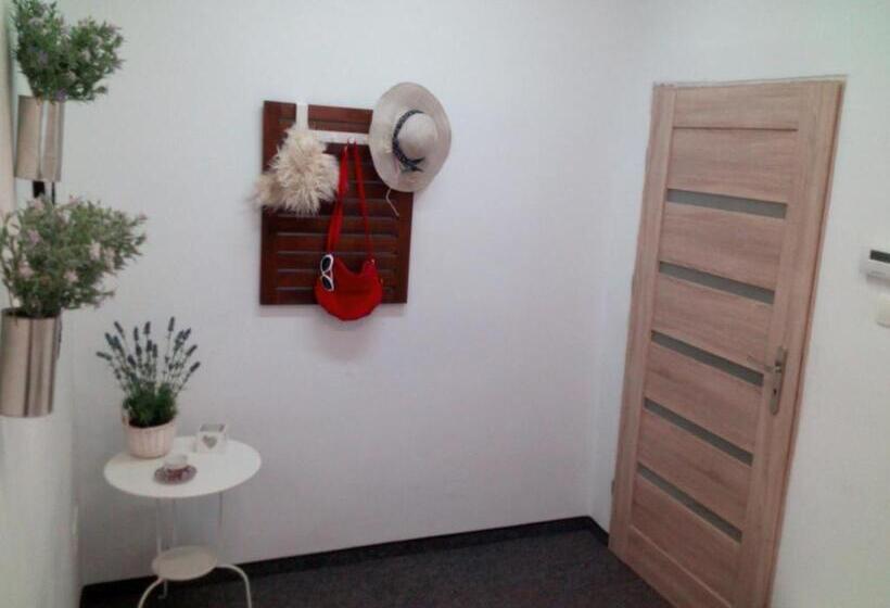 غرفة أساسية, Master Corner Apartment