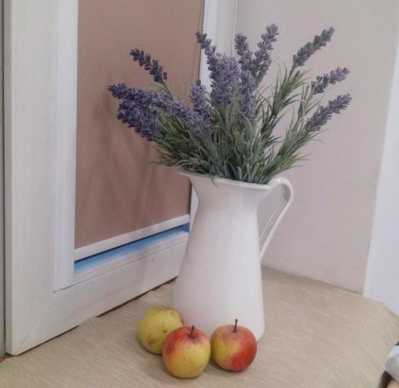 شقة سوبريور غرفة واحدة, Master Corner Apartment