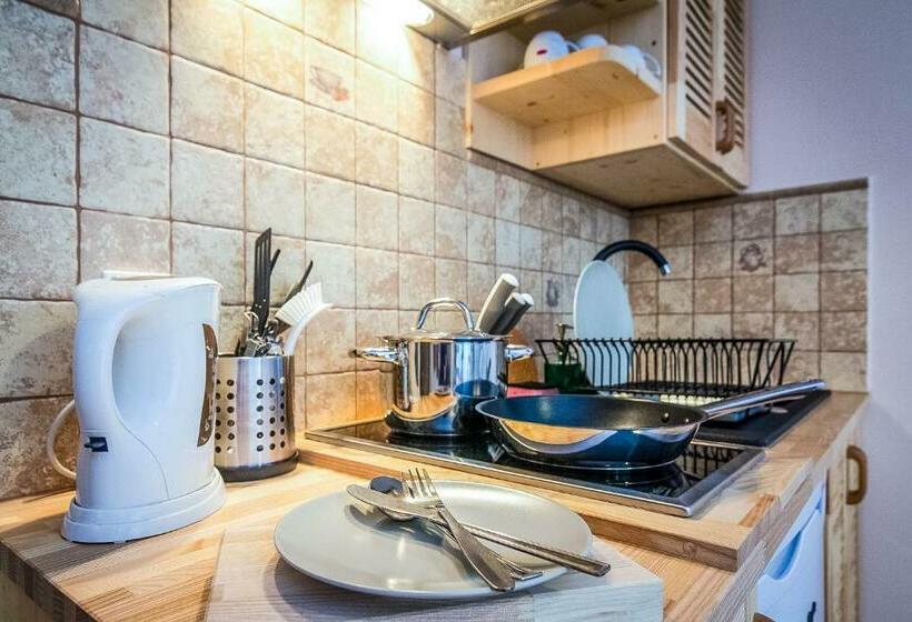 Апартаменты 1 Спальня, Aparthotel Pod Nosalem