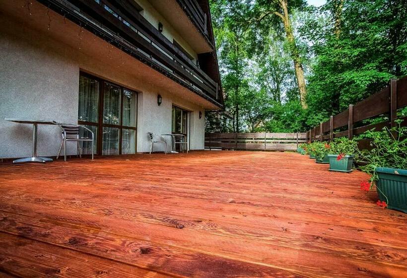 Апартаменты 1 Спальня, Aparthotel Pod Nosalem