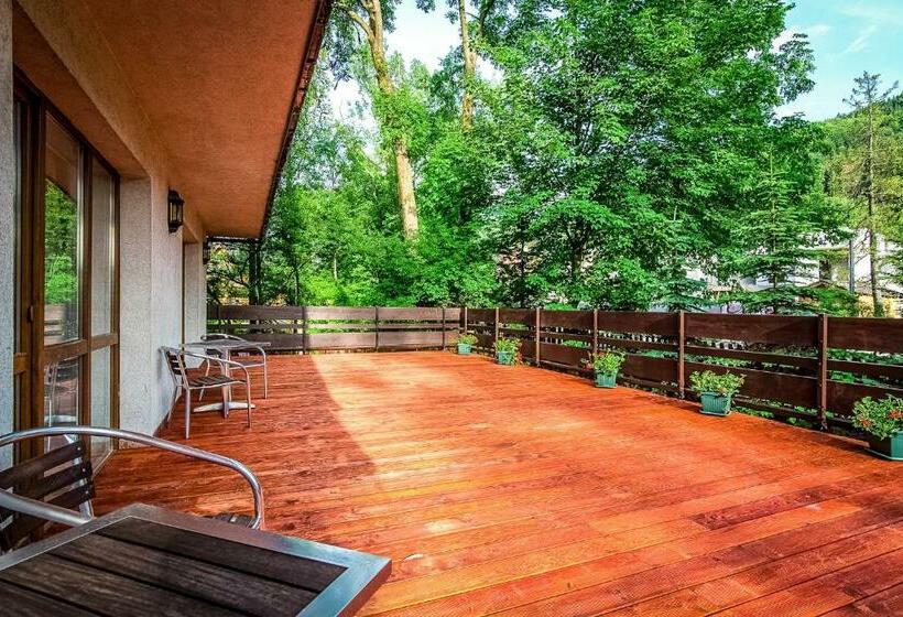 Апартаменты 1 Спальня, Aparthotel Pod Nosalem