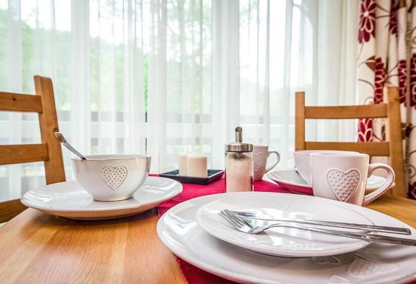 Люкс, Aparthotel Pod Nosalem