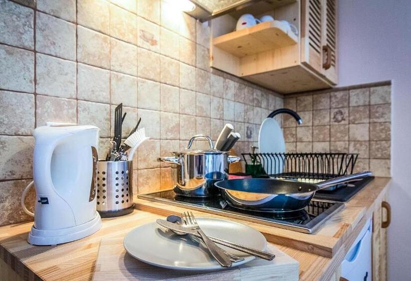 Апартаменты 1 Спальня с Балконом, Aparthotel Pod Nosalem