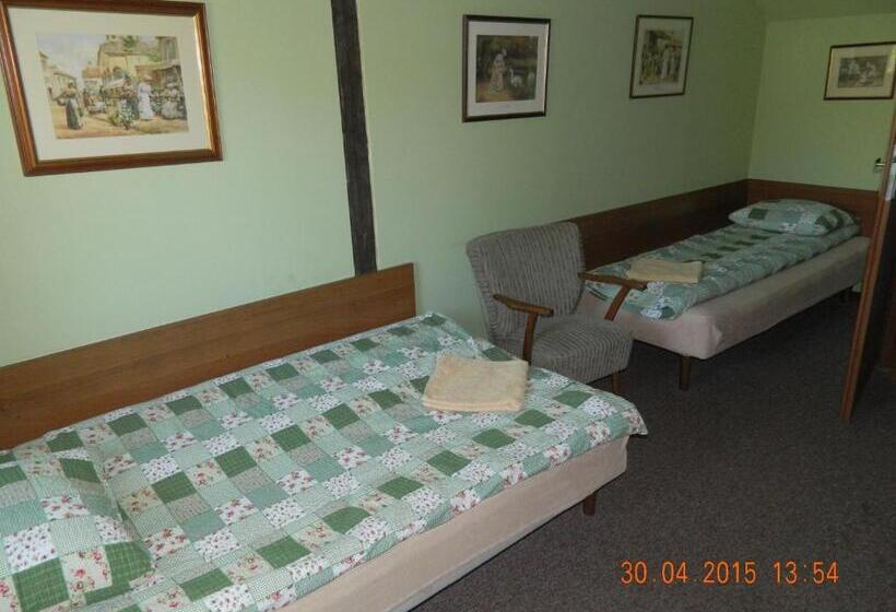 Номер Стандарт, Stary Dom