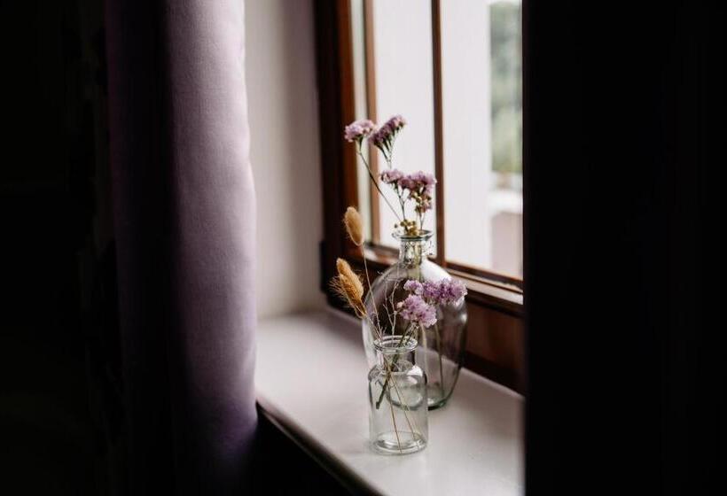 Номер Стандарт Индивидуальный, Willa Brygida Spa