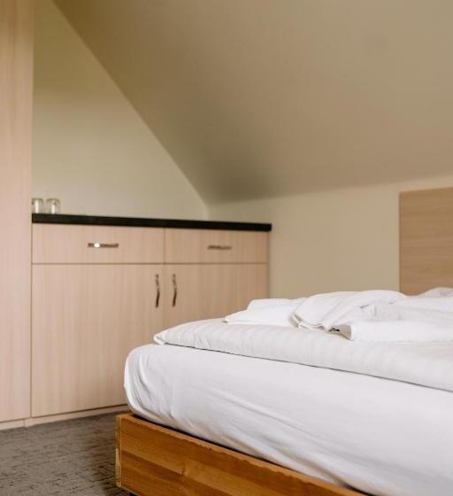 Номер Стандарт Индивидуальный, Willa Brygida Spa