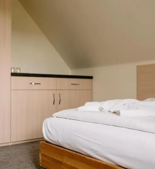Standard Yhden Hengen Huone, Willa Brygida Spa