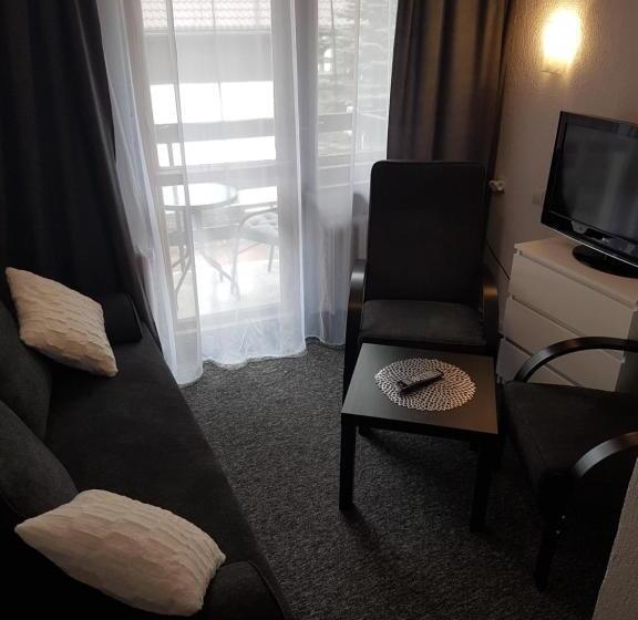 Студия Стандарт, Willa Grafit