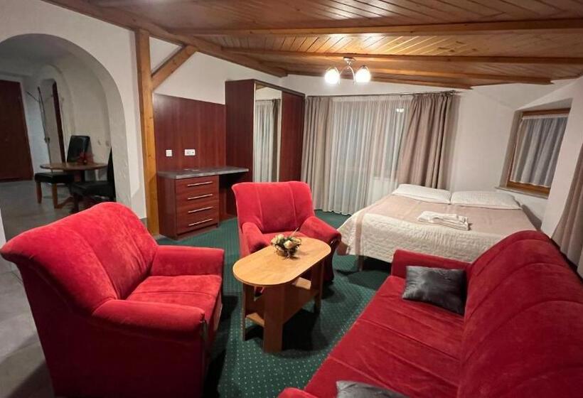 شقة غرفة واحدة, Willa Larysa Agro