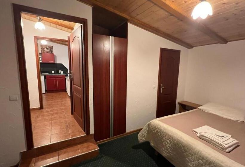 شقة غرفة واحدة, Willa Larysa Agro