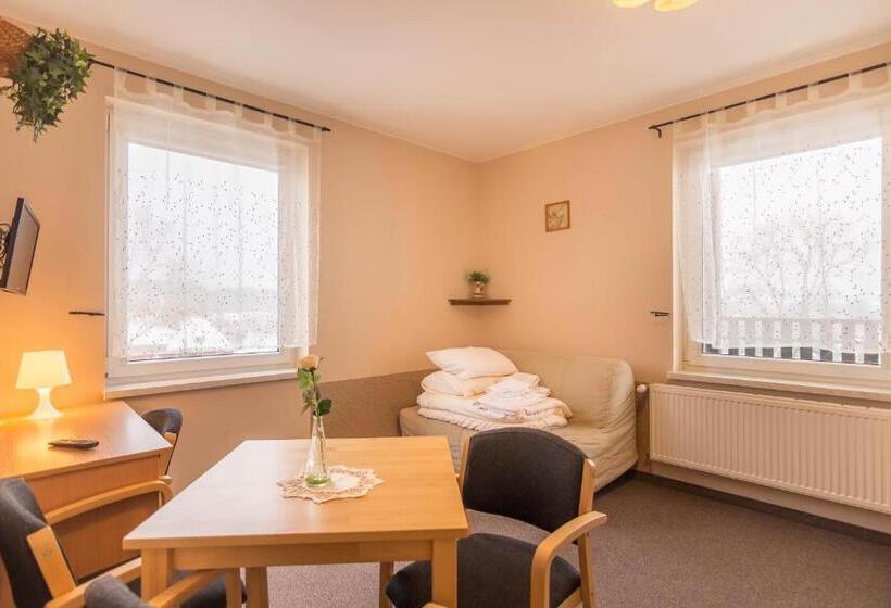 חדר סטודיו סטנדרד, Granada Pensjonat & Spa