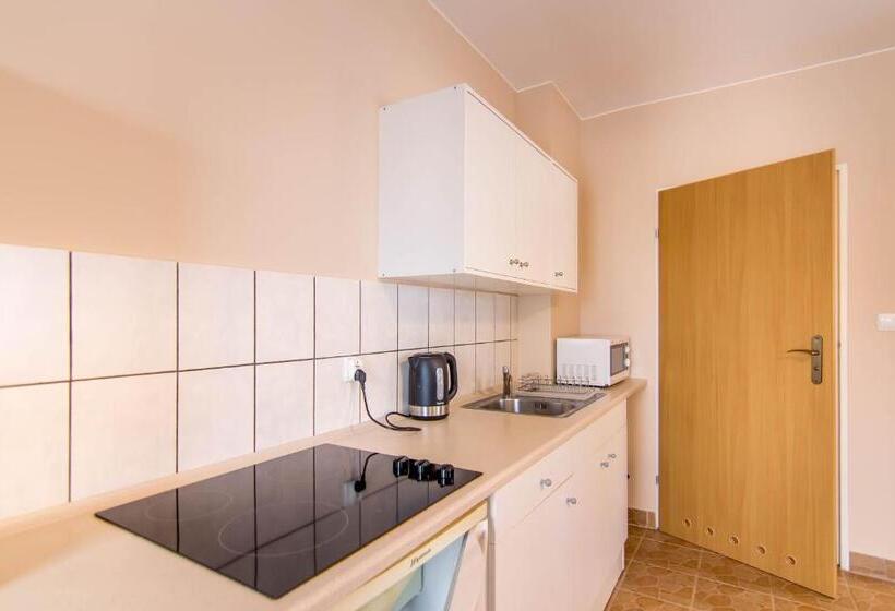 חדר סטודיו סטנדרד, Granada Pensjonat & Spa