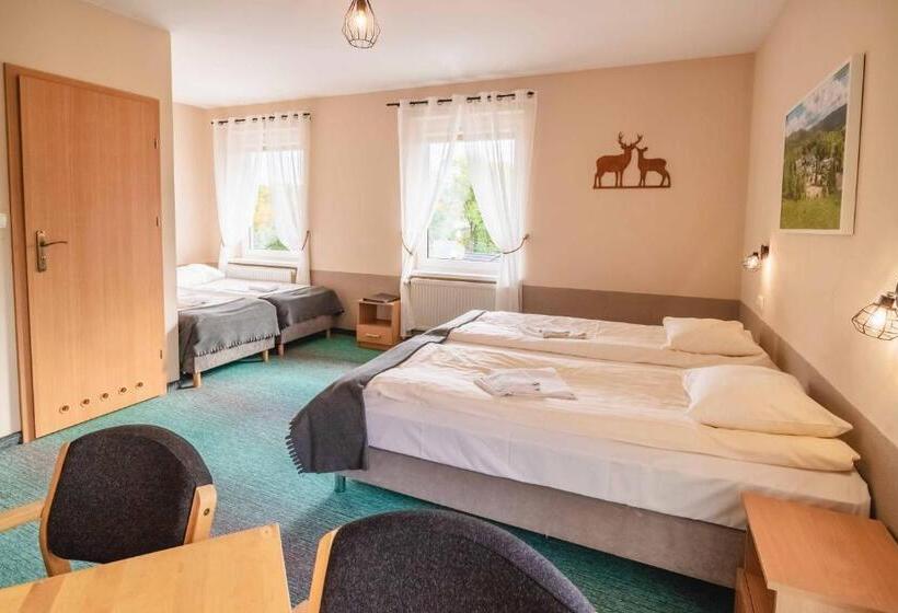 חדר סטנדרט, Granada Pensjonat & Spa