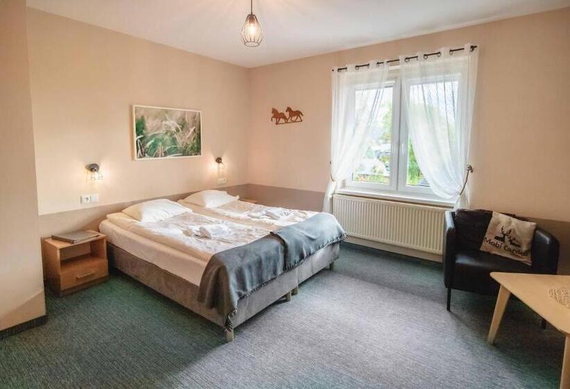 חדר סטנדרט לארבעה, Granada Pensjonat & Spa