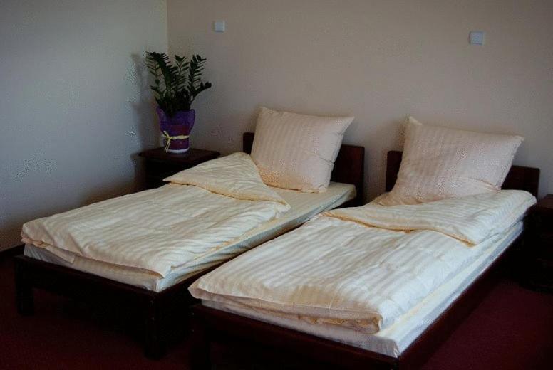 Номер Стандарт, Milord