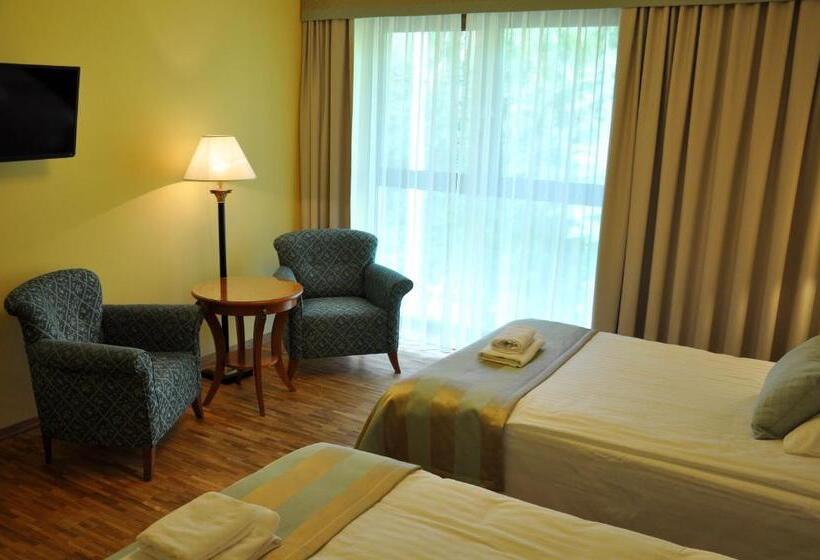 デラックスルーム, Mir Jan Spa