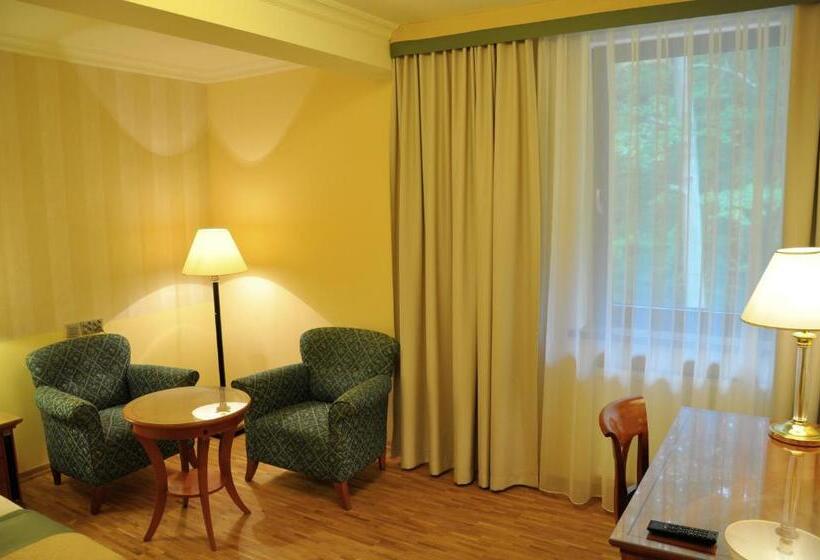 シングルデラックスルーム, Mir Jan Spa