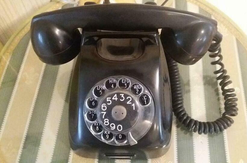 スーペリアールーム, Pałac Bażantarnia