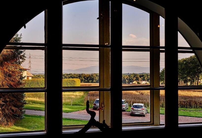 デラックスルーム, Pałac Bażantarnia