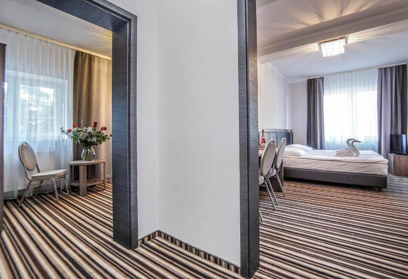 スーペリアスタジオ, New Corner