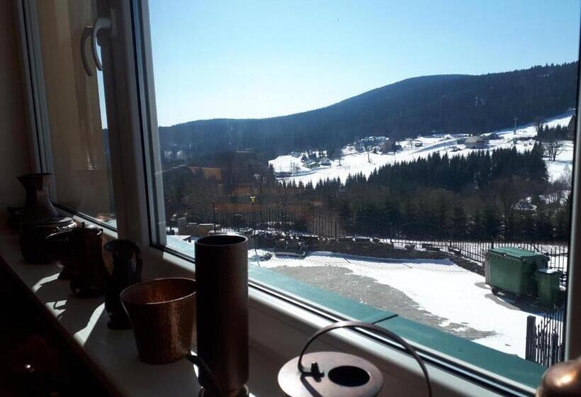 スタンダードルーム, Agal Zieleniec